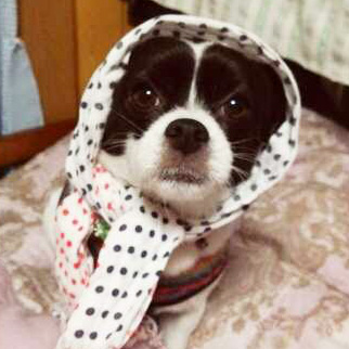 パッチ